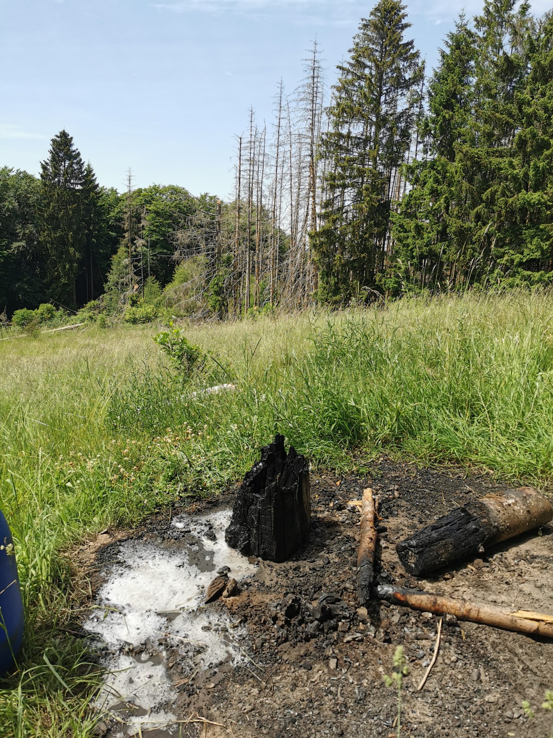 GEMELDETER WALDBRAND IN DAHLE Feuerwehr Altena